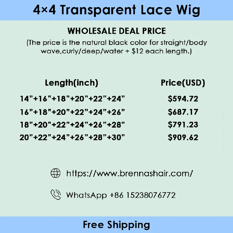 Brennas Hair 6PCS 4x4 Transparent Lace Wigs 180% Density Wholesale Package Deal Free Shipping