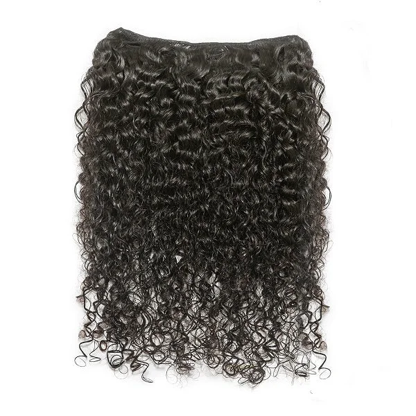 Brazilian Curly Bundle